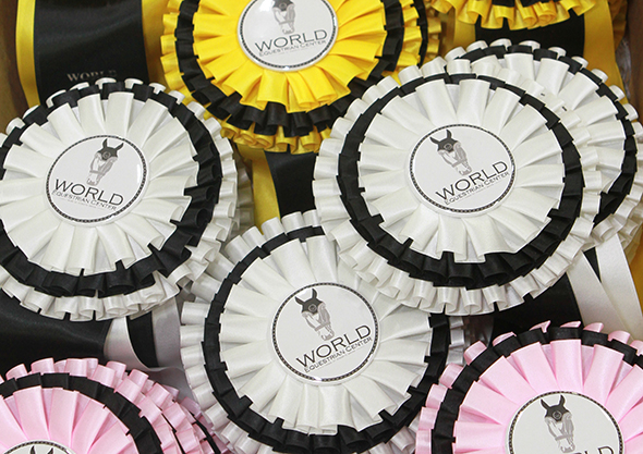 wilmington equestrian center prize list award ribbons