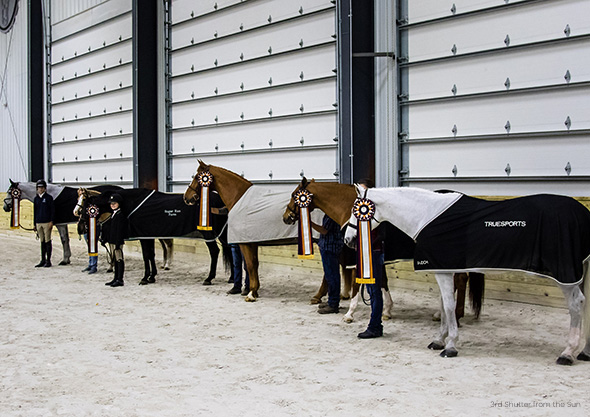 wilmington equestrian center prize list winning horses with ribbons