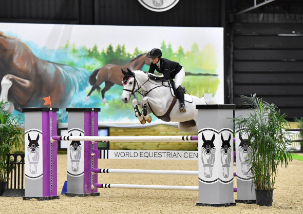 wilmington equestrian shows showjumping