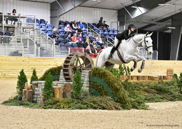 wilmington equestrian spectators rider and horse jumping