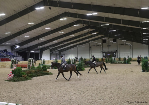 wilmington equestrian spectators horse arena riders and horses