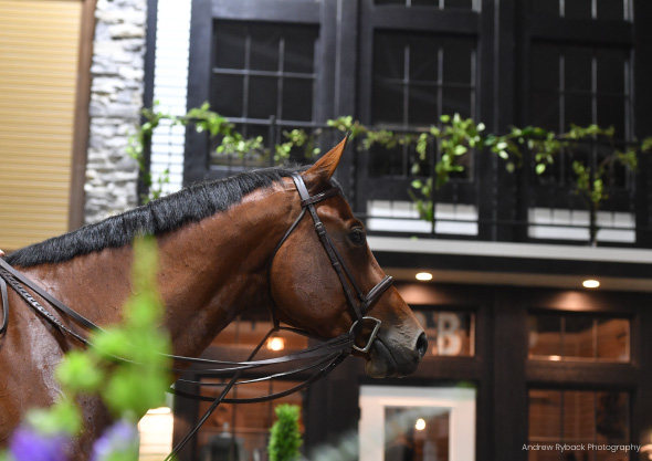 wilmington equestrian dining horse in restaurant