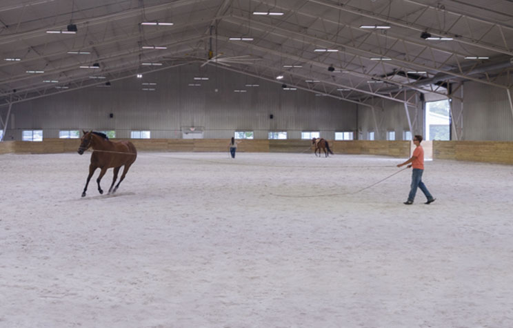 The Art and Science of Arena Footing