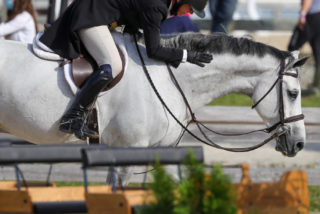 Melissa Donnelly and Grand Tour Emerge Victor...
