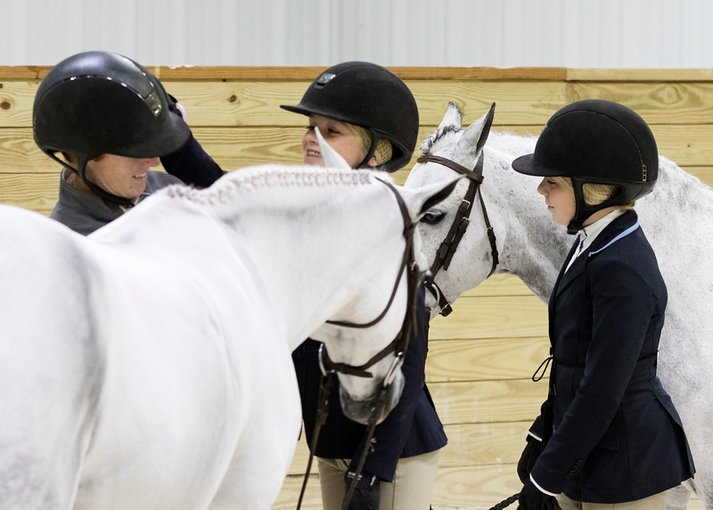 gray ponies and blond girls