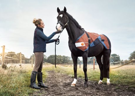 bemer horse blanket for sale