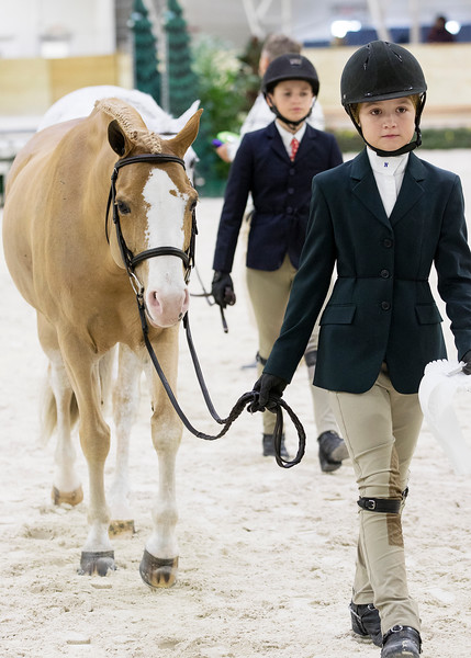 palomino pony