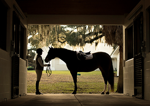 A Rider Spending a Moment with their Horse