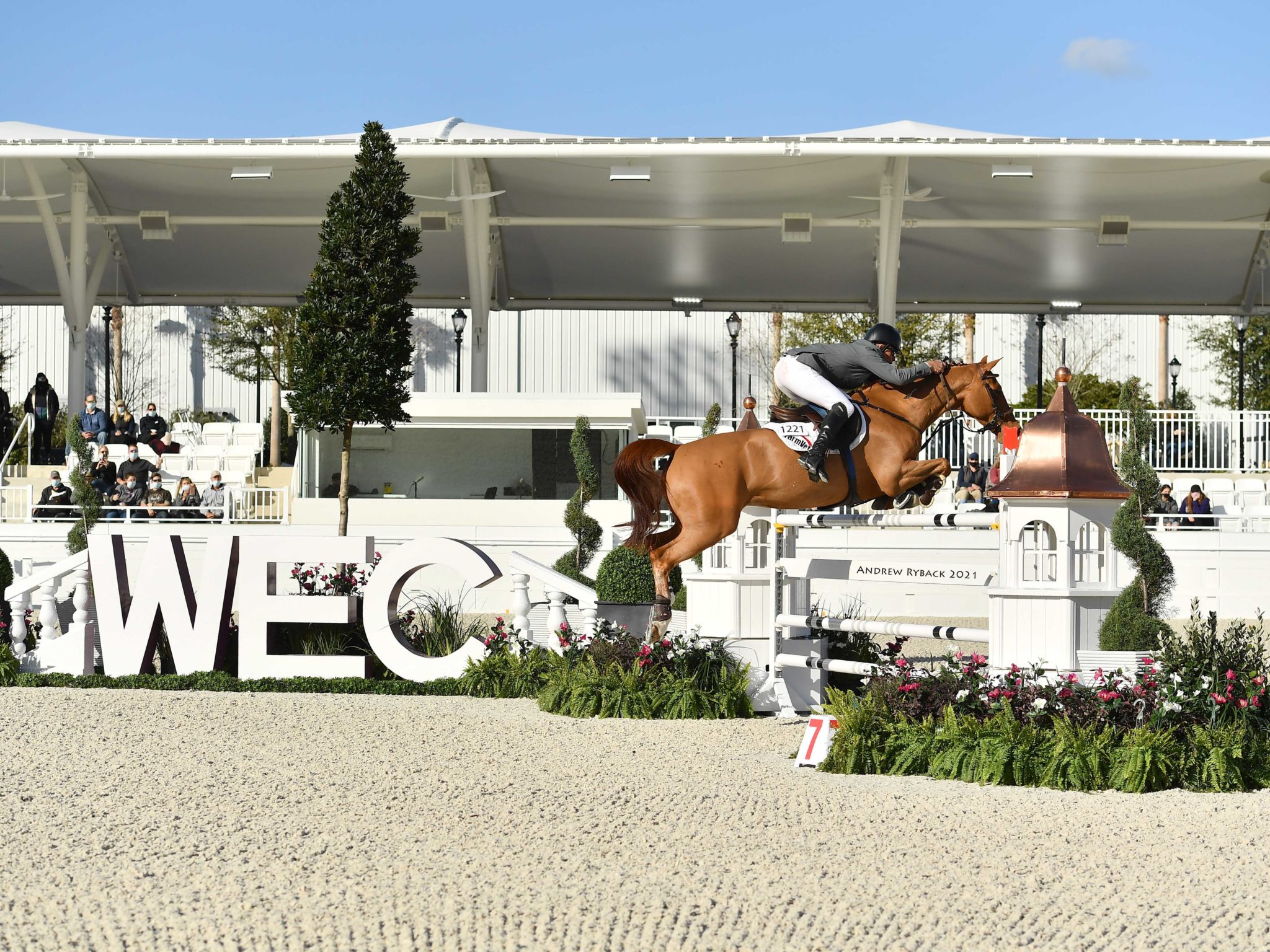Save the Date for the World Equestrian Center — Ocala Summer Horse Show
