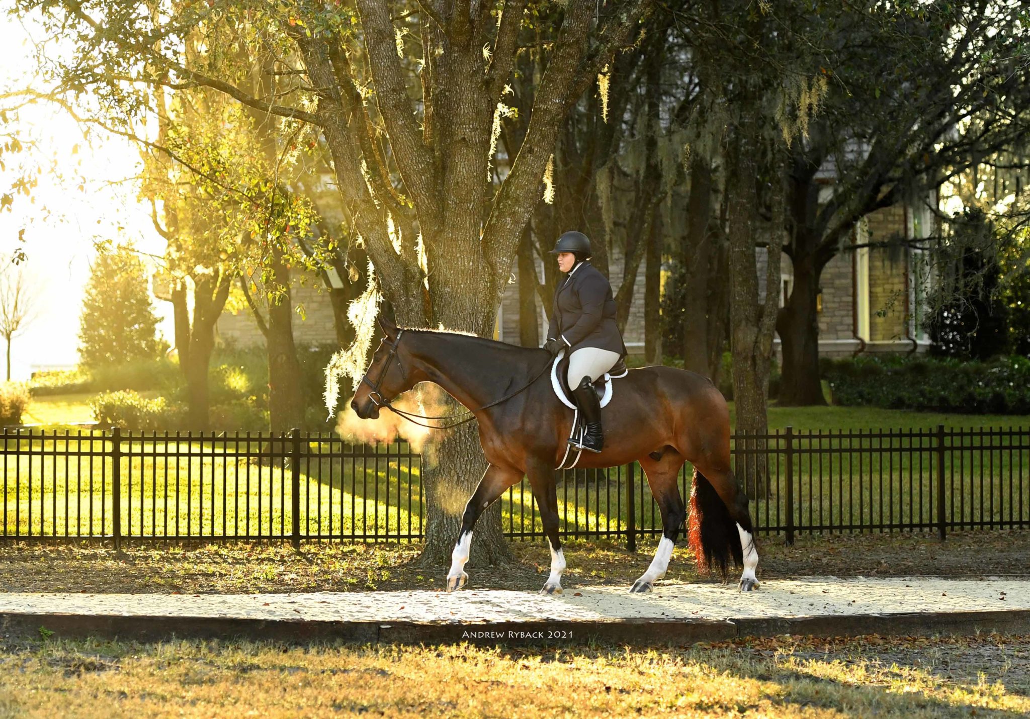 World Equestrian Center — Ocala Winter Spectacular #5 Highlights 