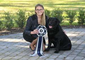 Dog Show Event in Florida showcasing top canine talent from the current year