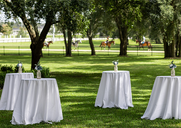 Ocala Oak Garden