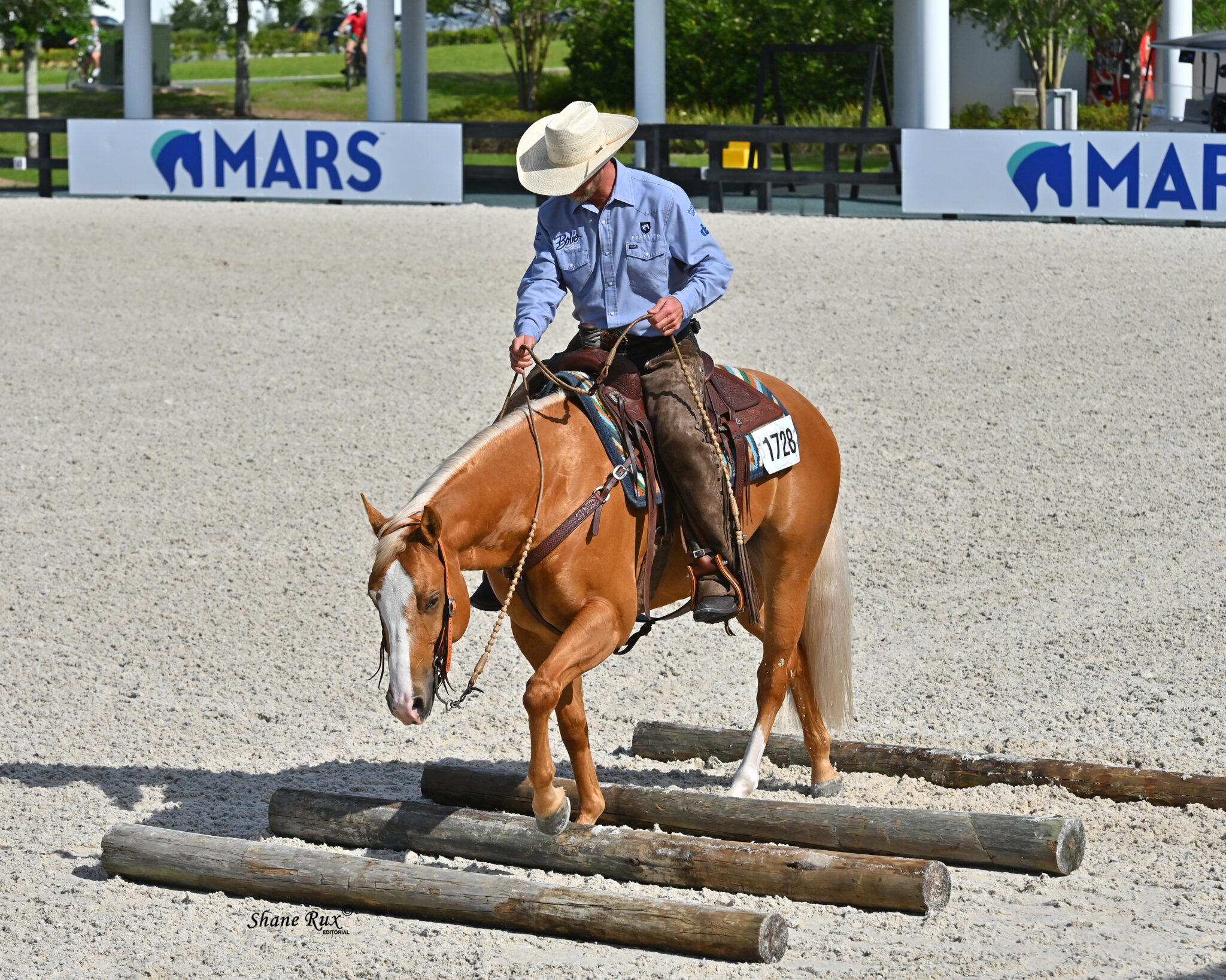 A Sudden Impulse NSBA Show & Futurity; Friday, April 22 Featured Class