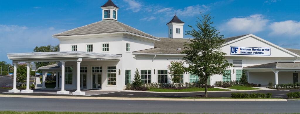 Ocala - World Equestrian Center