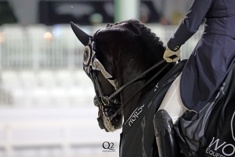 USEF/USDF Dressage Competition Continues at World Equestrian Center