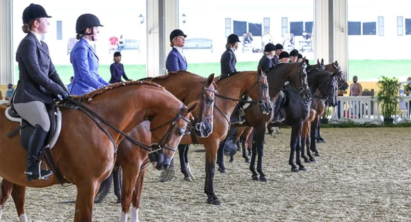 Region 14 Arabian Horse Show 2024 Tomi Agnesse