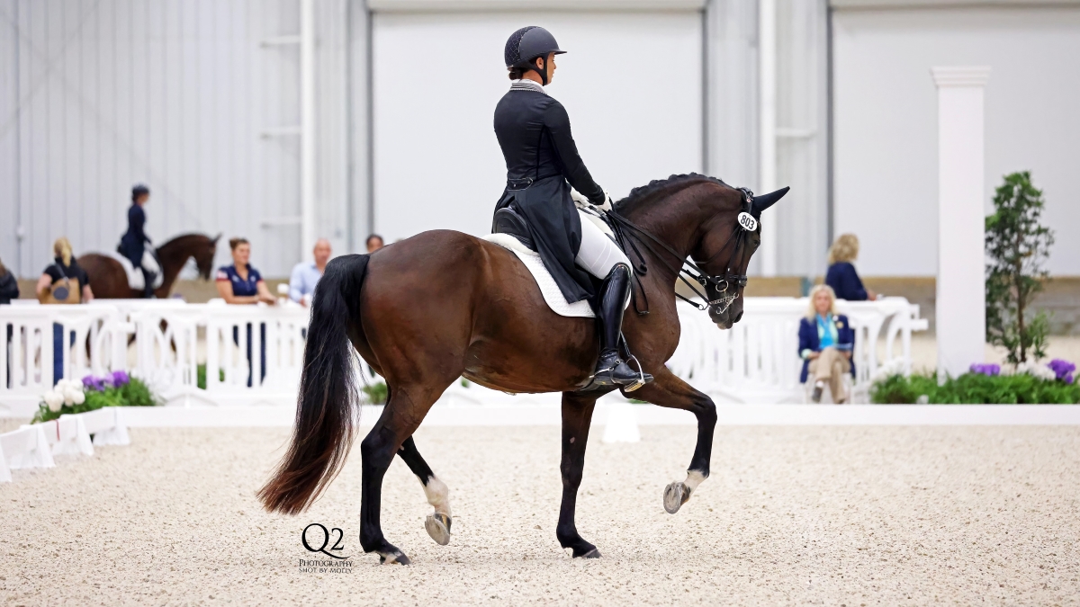 Make Plans for Final Three Dressage Shows in 2022 at World Equestrian