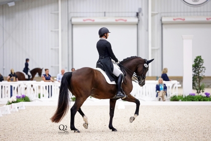 Make Plans for Final Three Dressage Shows in 2022 at World Equestrian ...