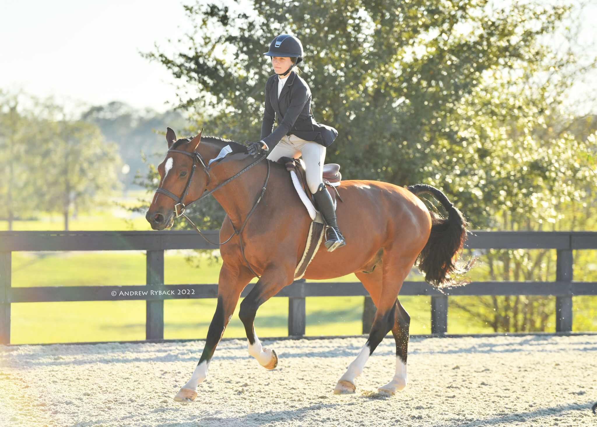 Grace Debney & Attendu De Lannois Z Capture $12,500 WEC Ocala 3’6”-3’9 ...