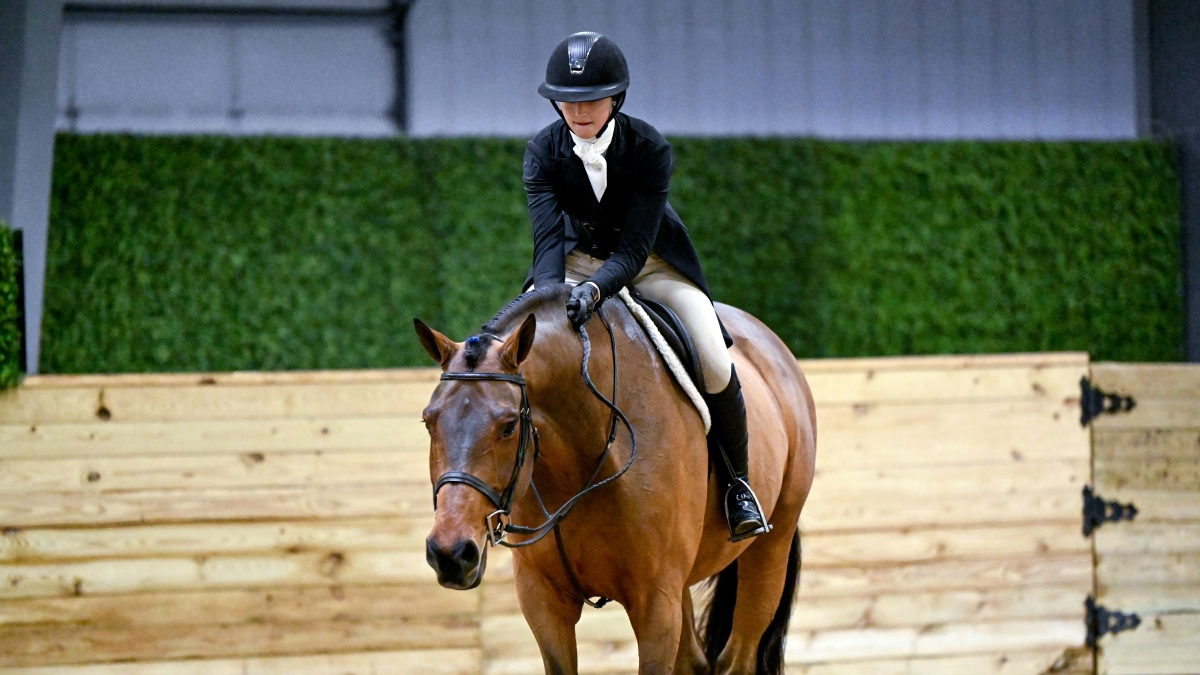 world-equestrian-center-wilmington-midwest-indoors-week-i-highlights