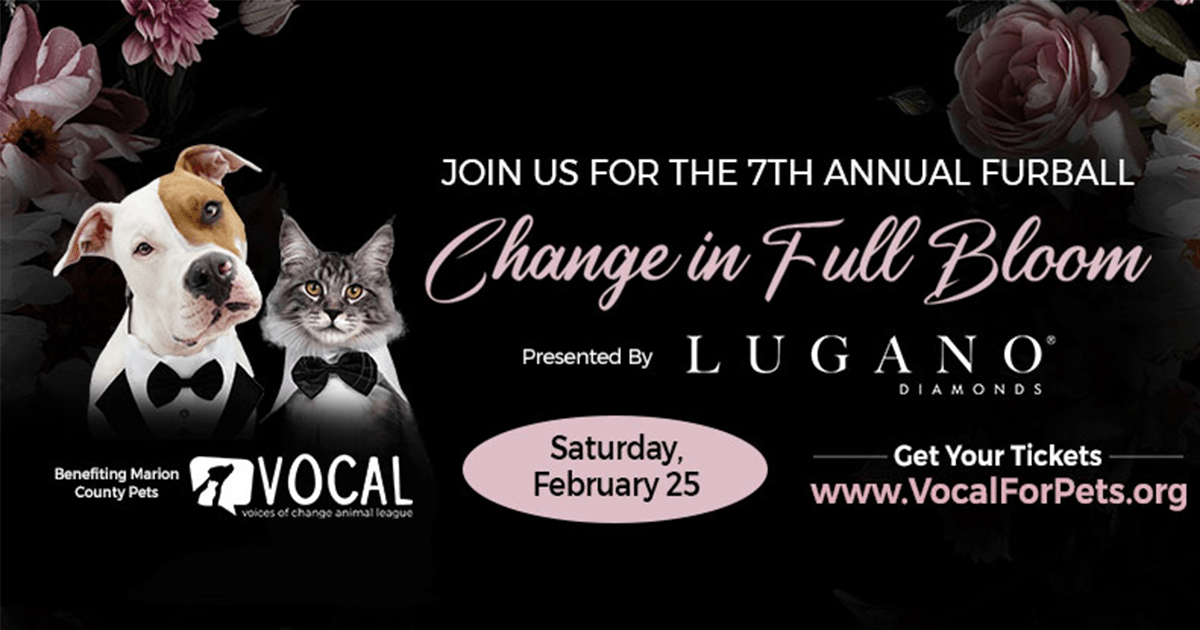 7th Annual Furball Gala Includes Dancing, Food in Support of VOCAL's  Mission to Help Homeless Pets - World Equestrian Center