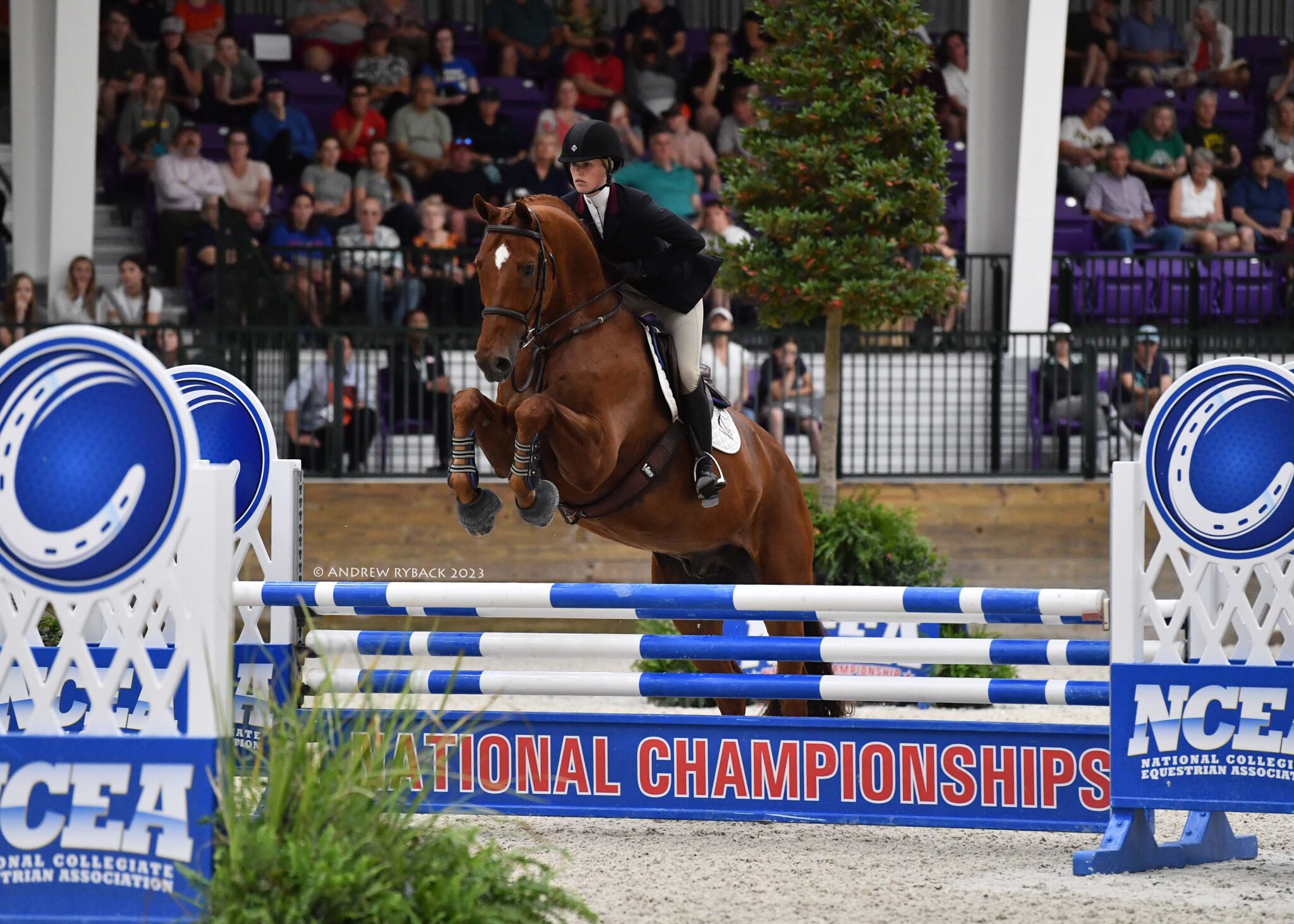 NCEA Announces 2023 National Championship Dates and Information World