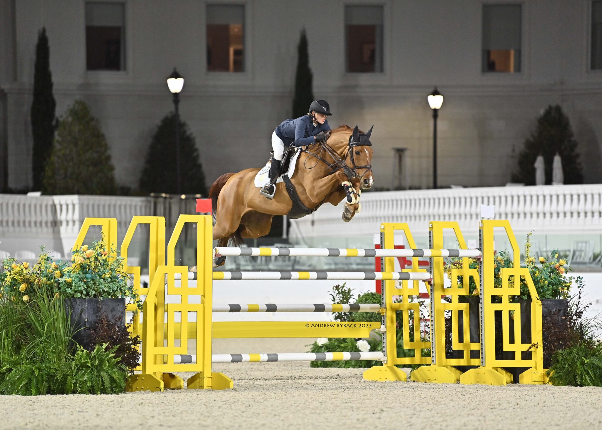 What’s Happening this Week at WEC - Ocala - World Equestrian Center