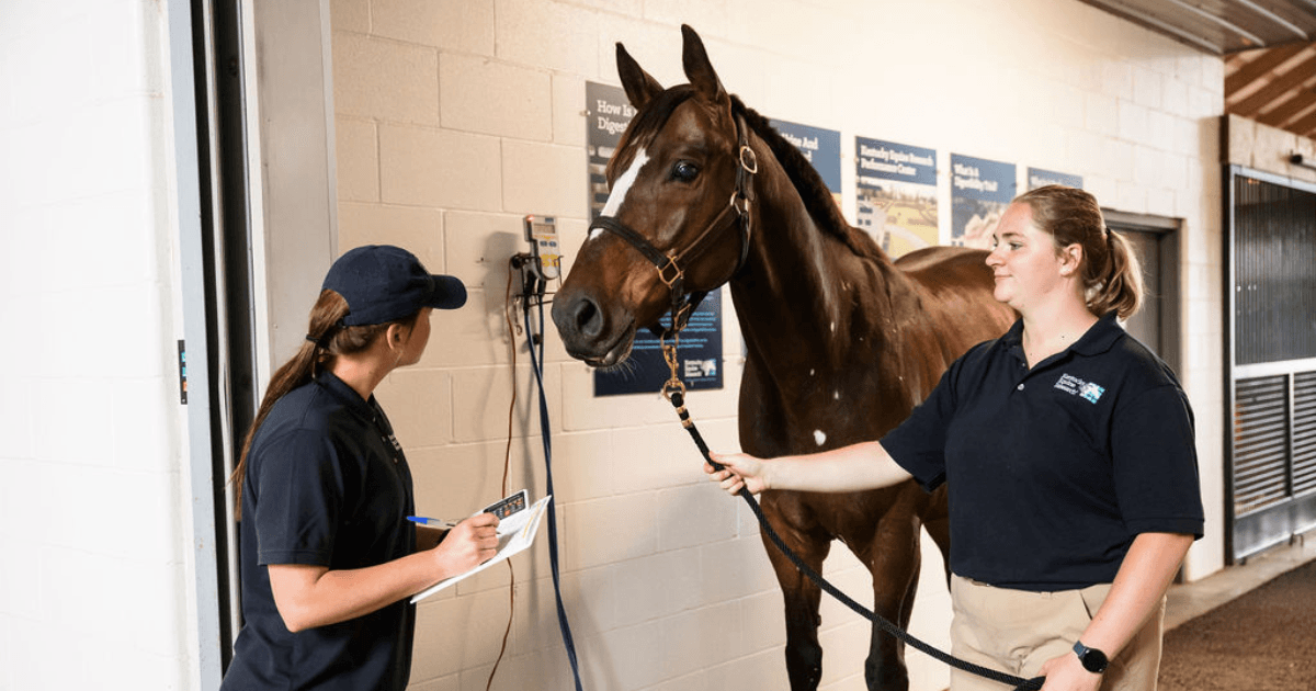 World Equestrian Center – Wilmington Welcomes Kentucky Equine Research to Family of Sponsors