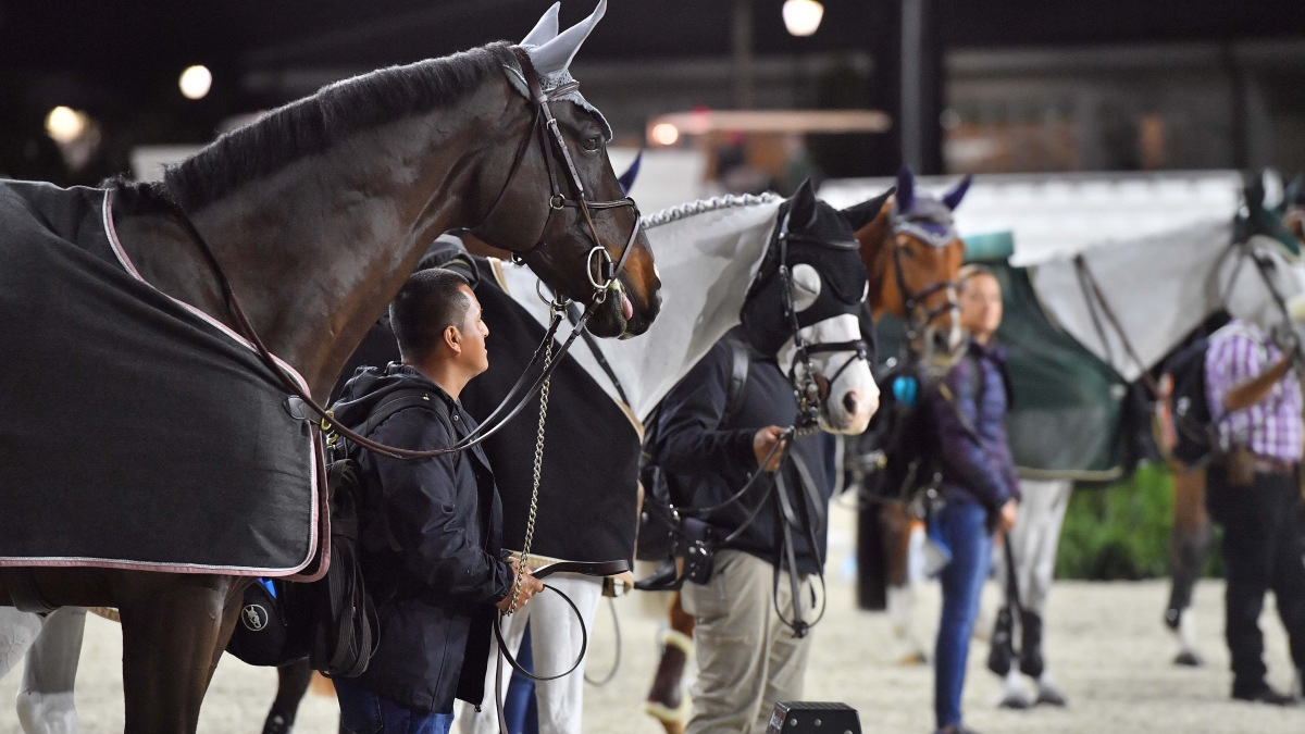 World Equestrian Center – Ocala 2023 Winter Spectacular Show Series Week V Highlights