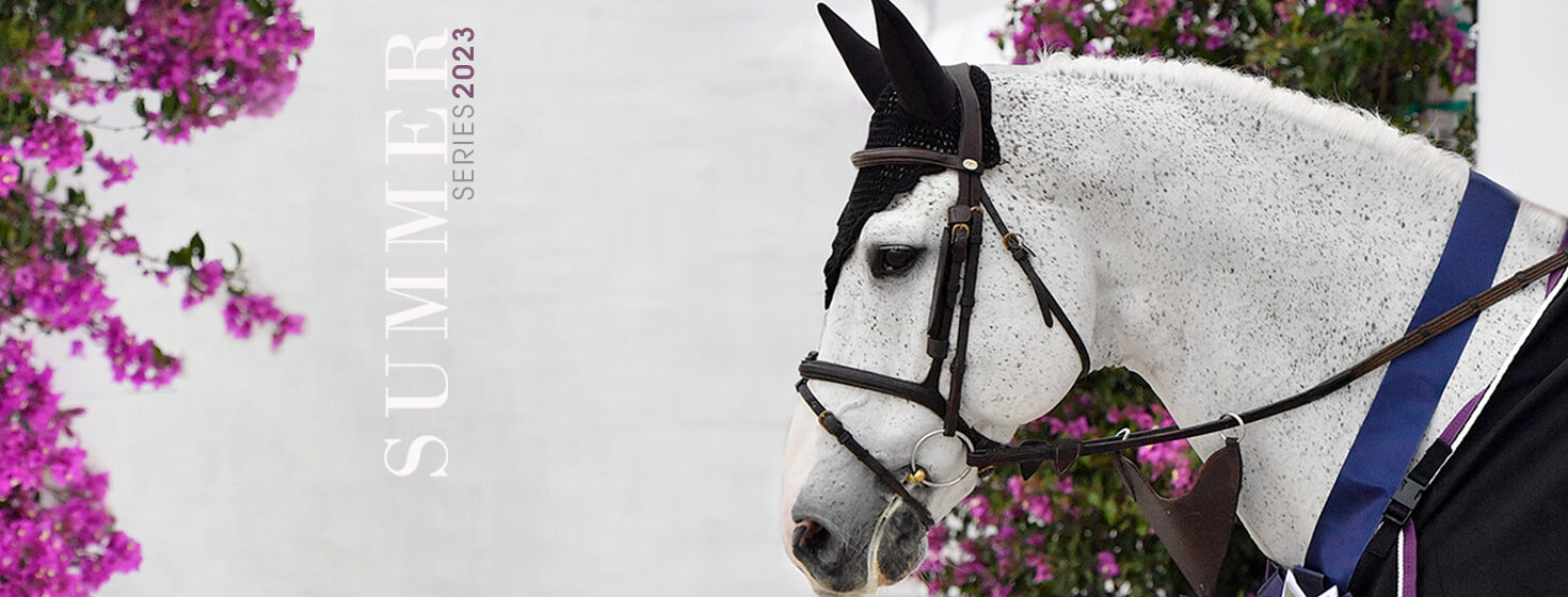 Ocala World Equestrian Center