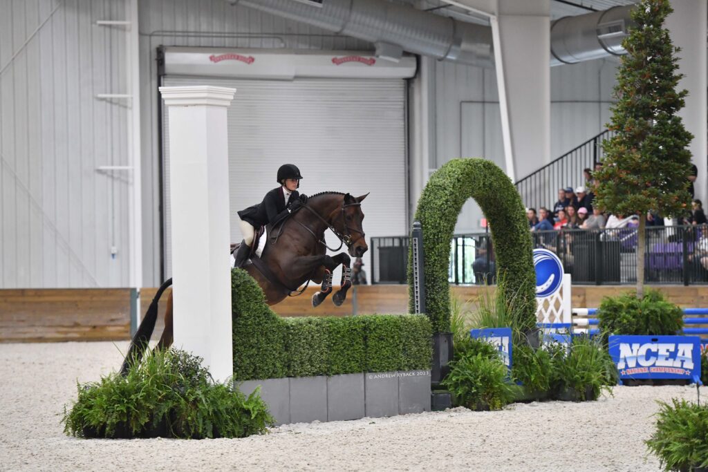 This Week! NCEA National Championship at World Equestrian Center