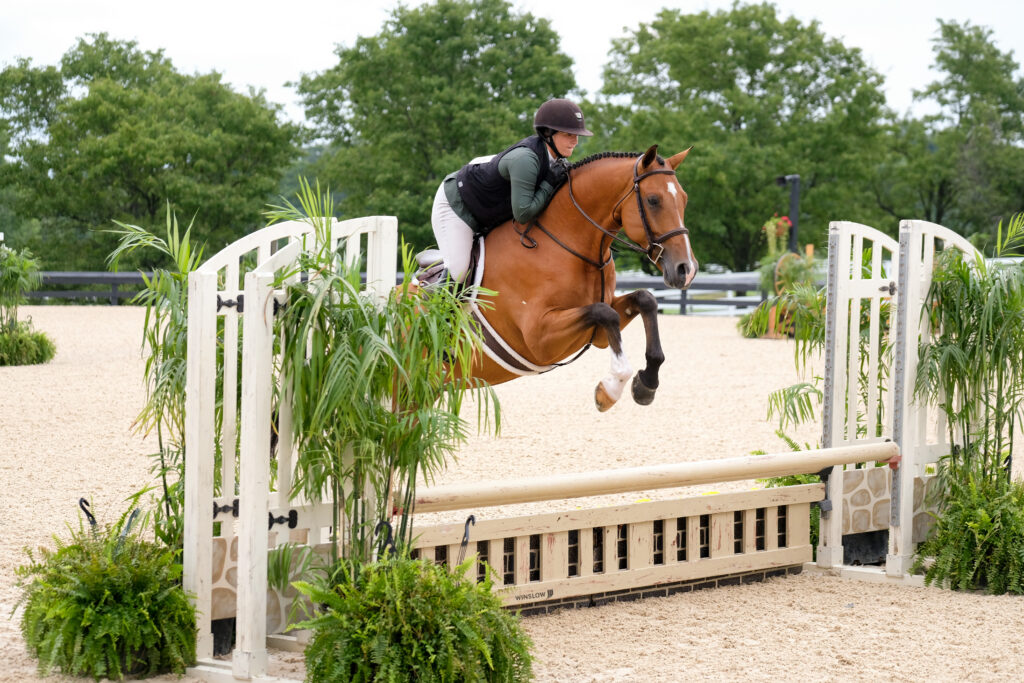 Stall & Entry Reminder for World Equestrian Center Wilmington 2023