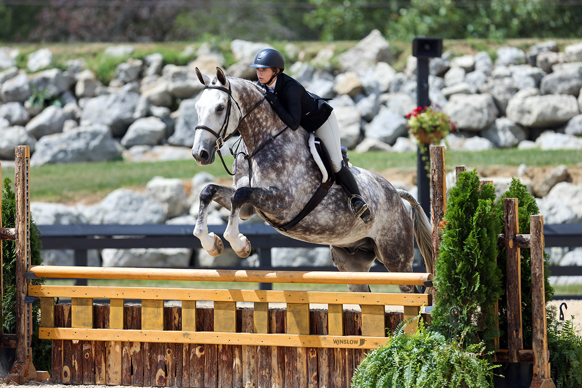 Exhibitor Information For World Equestrian Center – Wilmington Spring ...