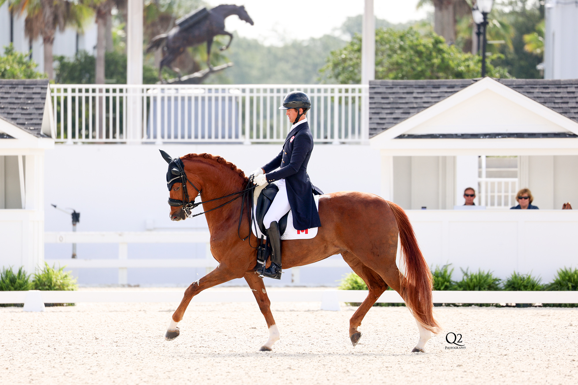 Dressage Headlines World Equestrian Center Ocala This Year And Into   WMY 5128 