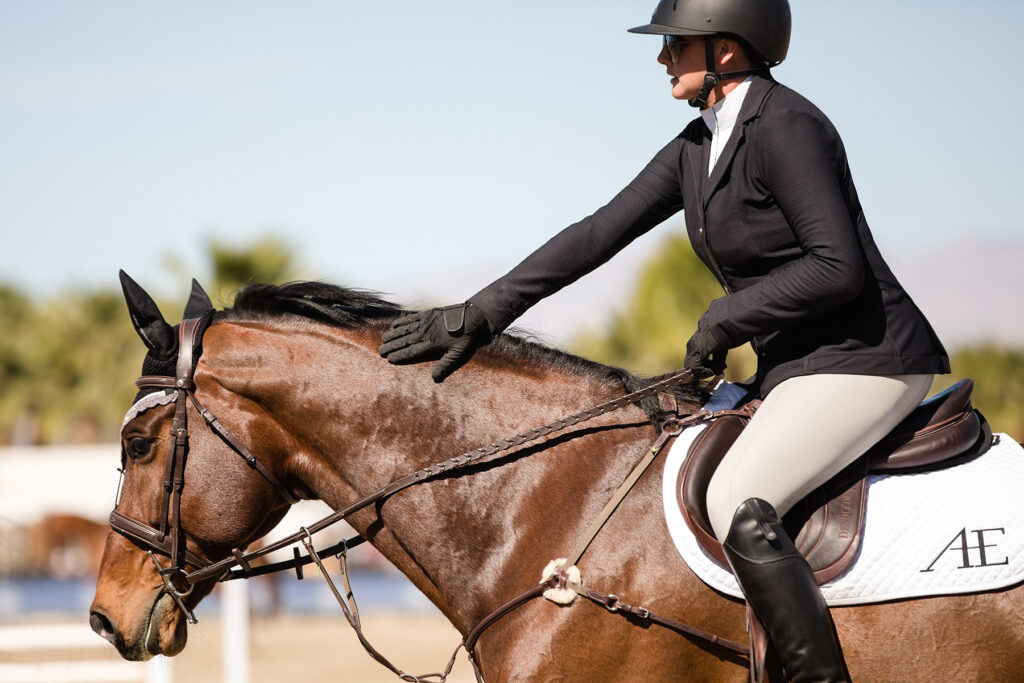 Equestrian apparel clearance