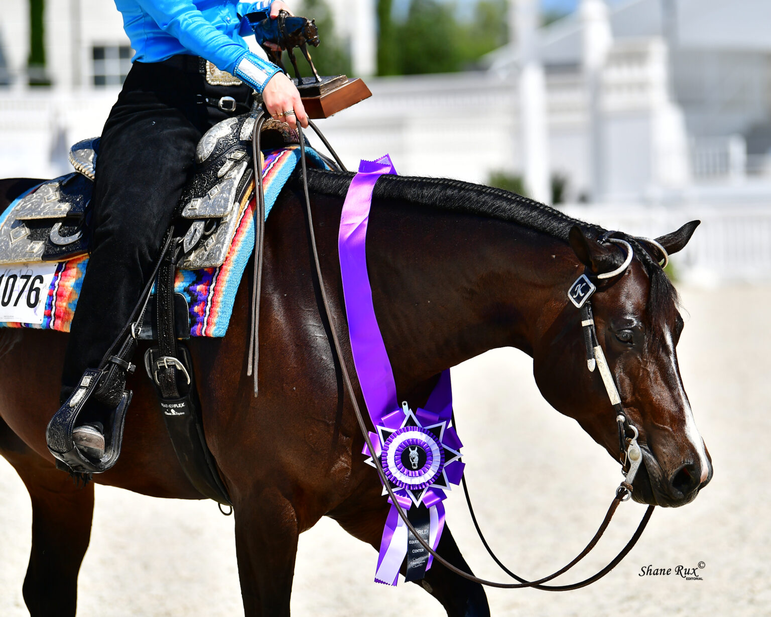 Mark Your Calendars A Sudden Impulse AQHA & NSBA Returns to World