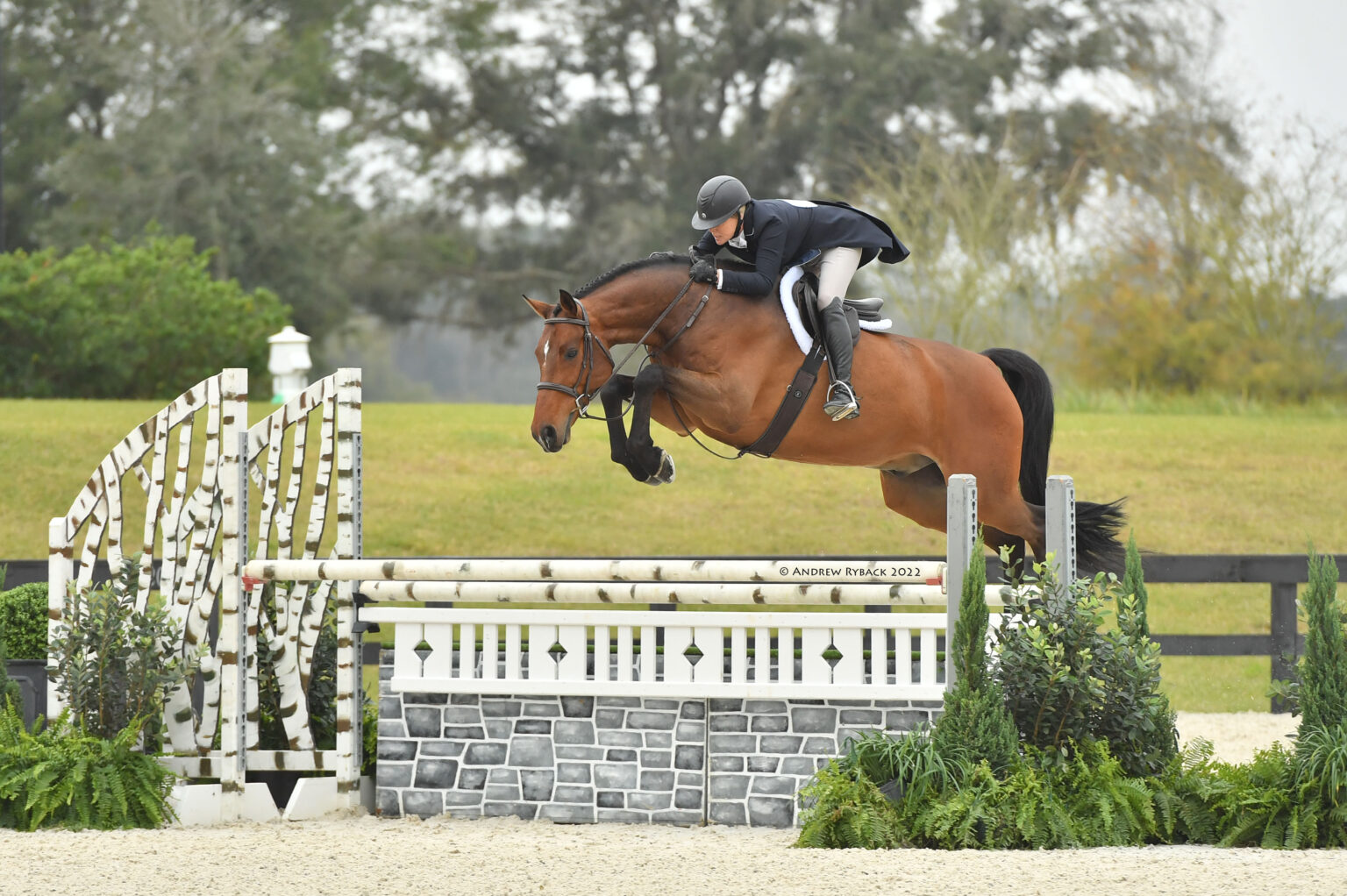 Save The Date World Equestrian Center Ocala 2024 Winter Spectacular   W36 2073e 1 1536x1022 