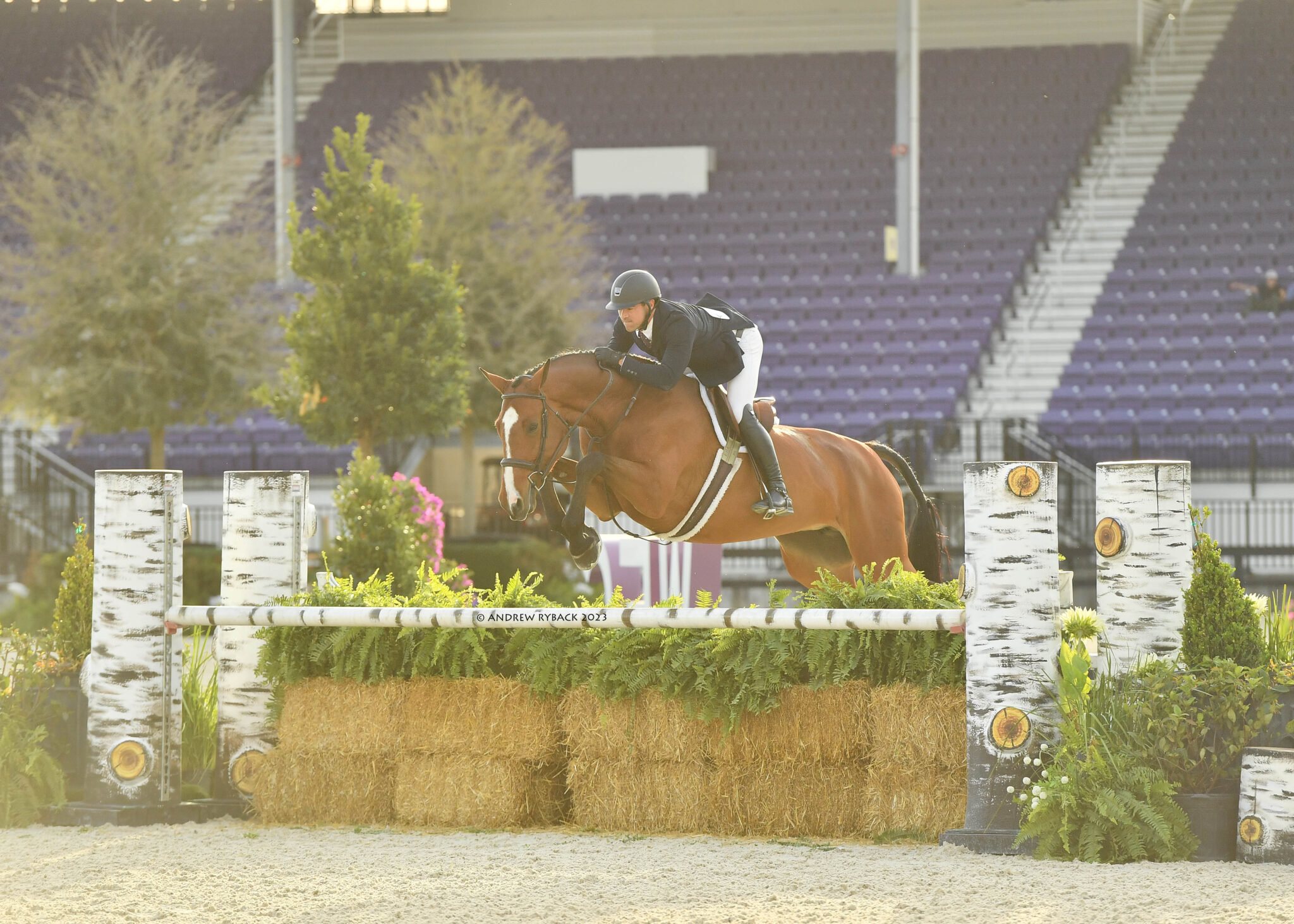 World Equestrian Center Ocala Presents The 2024 Winter Spectacular   WA8 2238e 2048x1463 