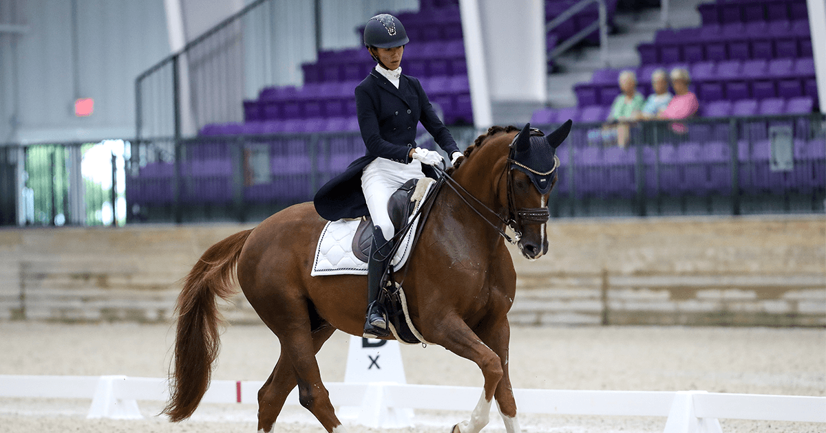 Gundersen and Marek Shine at World Equestrian Center September