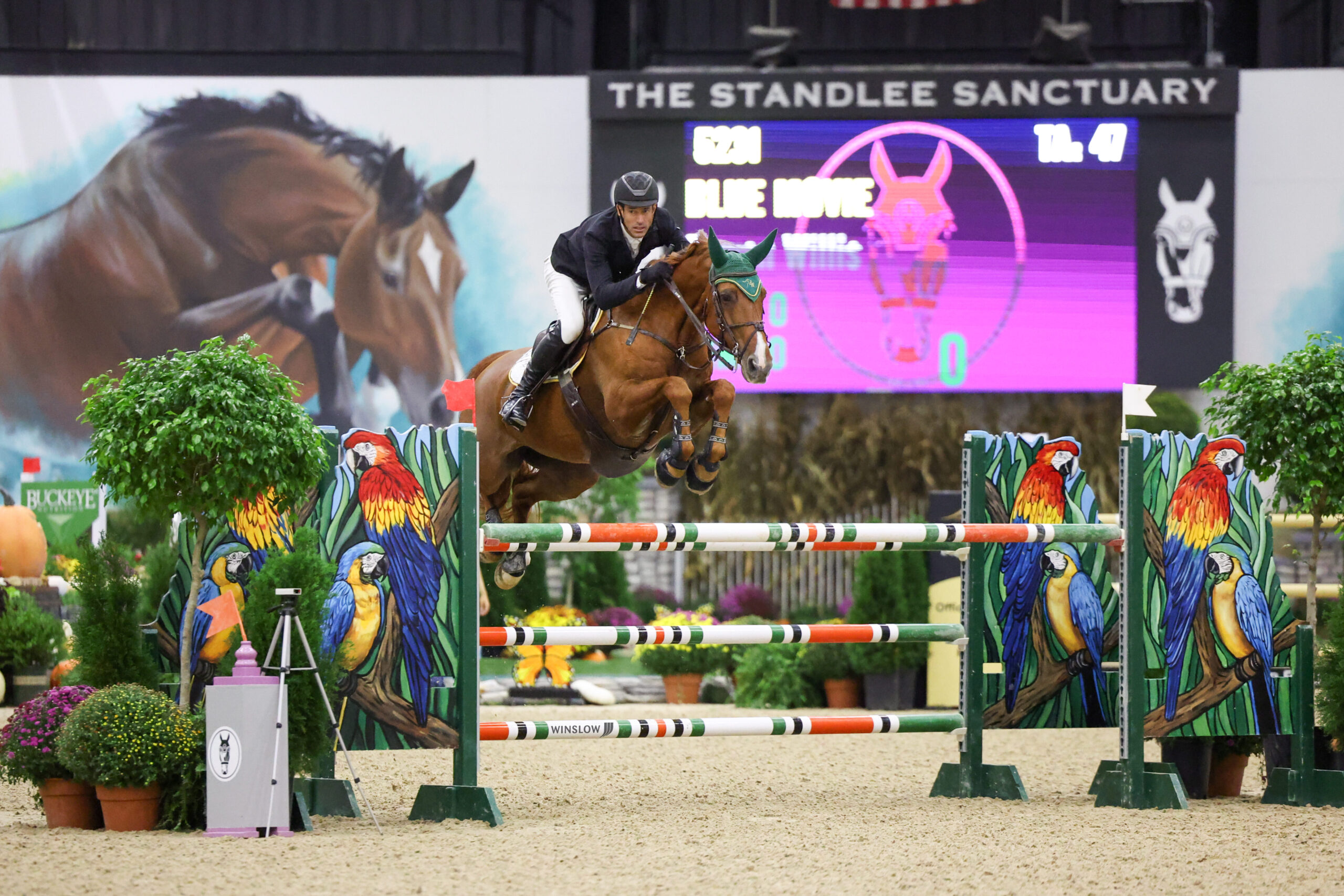 Blue Movie Sets the Scene in the $50,000 Grand Prix of Fall Classic 1 at WEC
