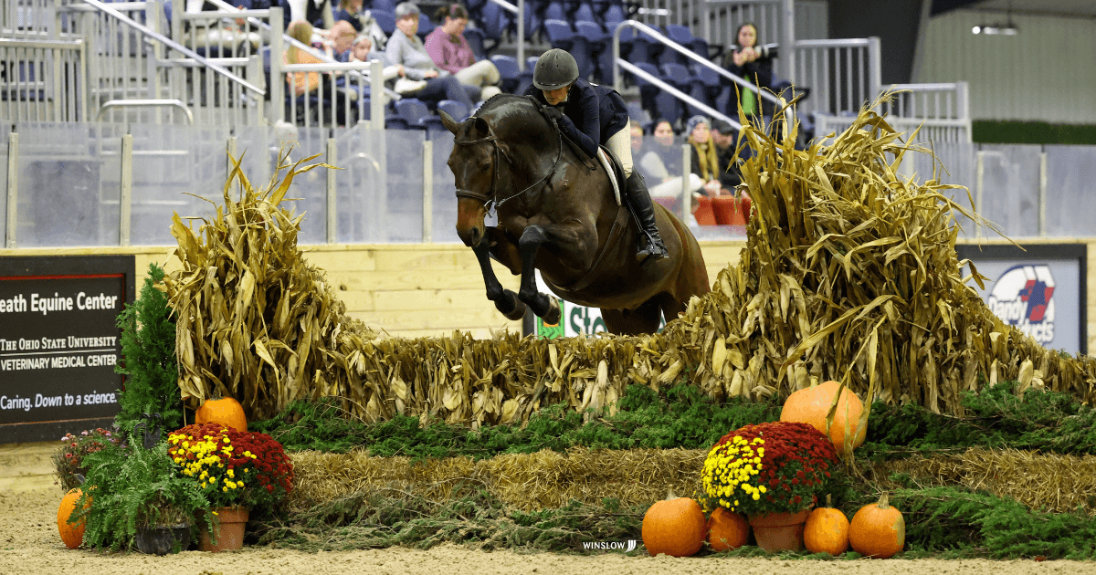 Havens Schatt & Chance Top the $15,000 Standlee USHJA