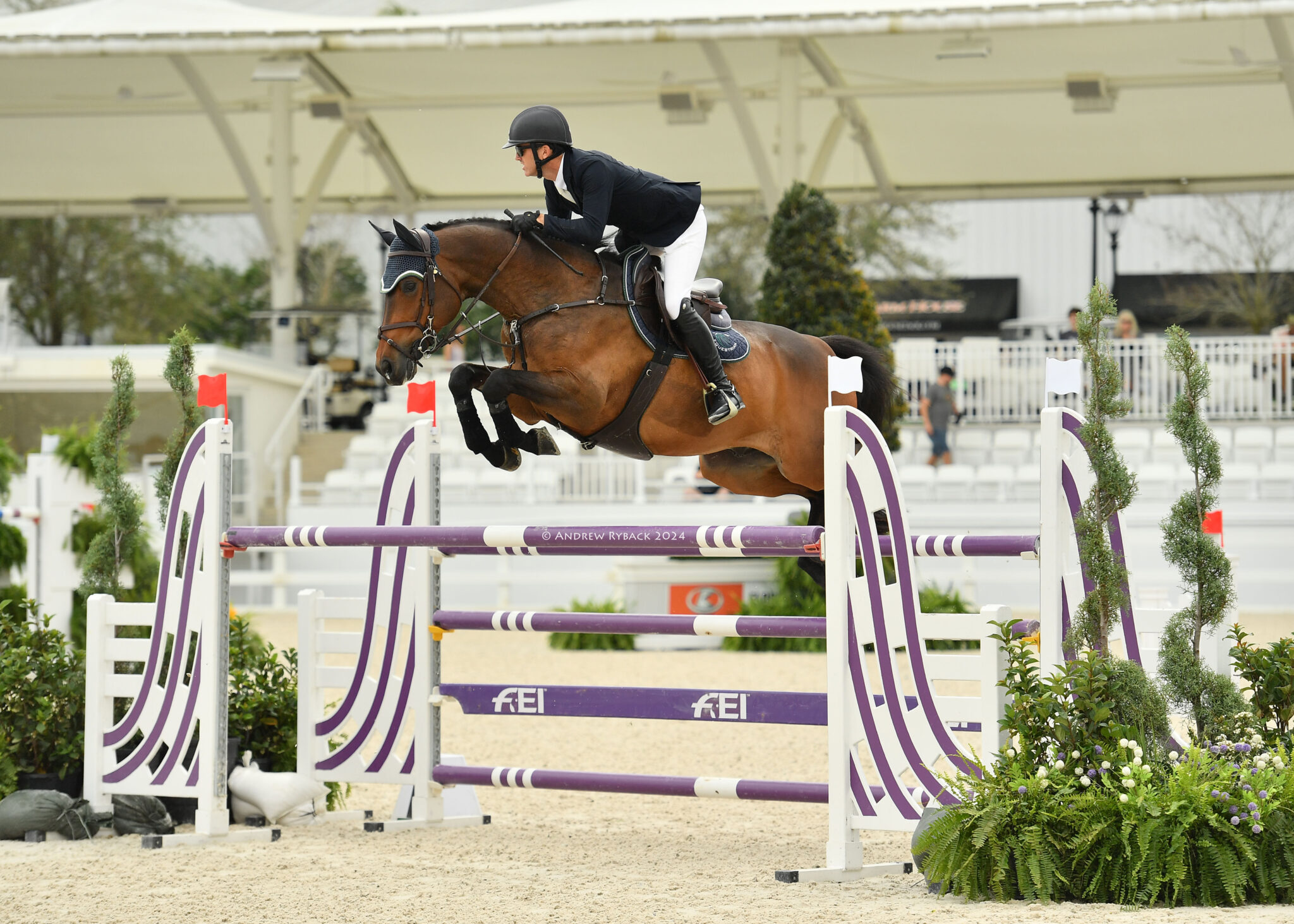 Amy Millar and Jagger HX Speed to Blue in the $31,500 1.45m Speed CSI4 ...