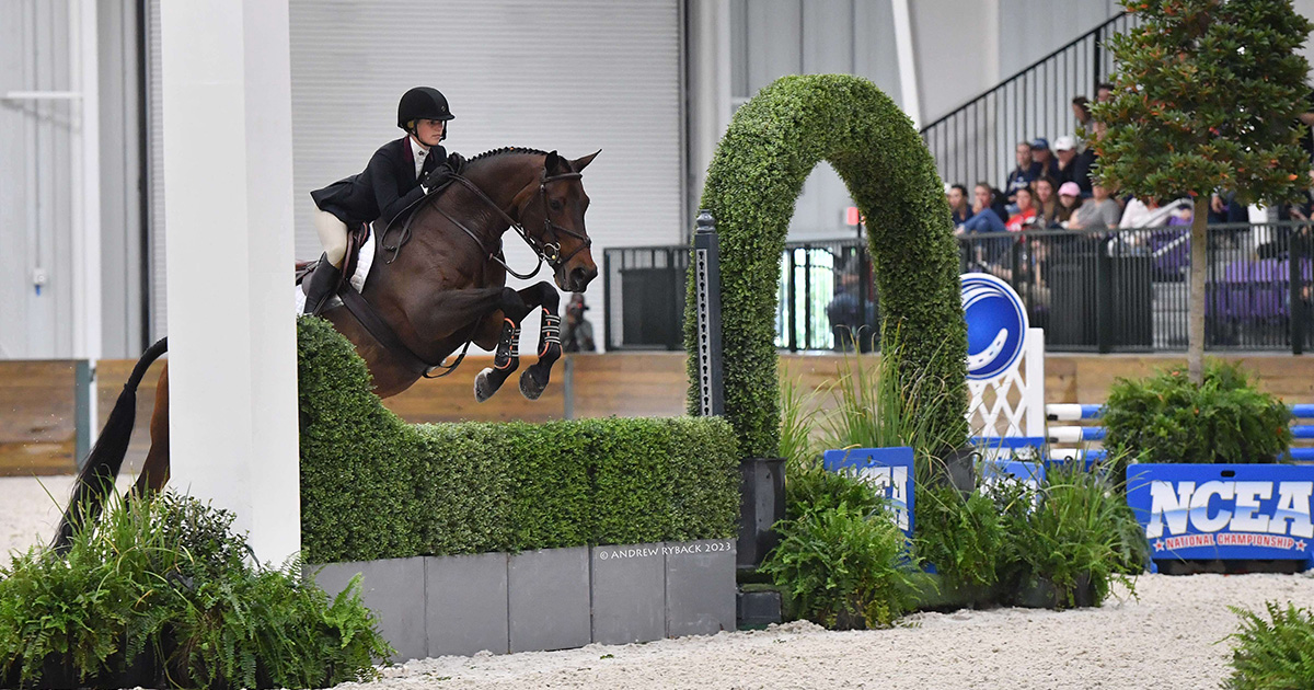 World Equestrian Center Ocala Set as Host for 2024 National