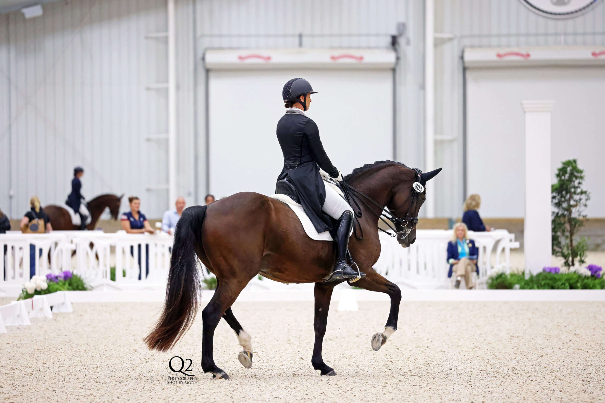 World Equestrian Center Ocala Announces 2025 Dressage Competition Calendar World Equestrian