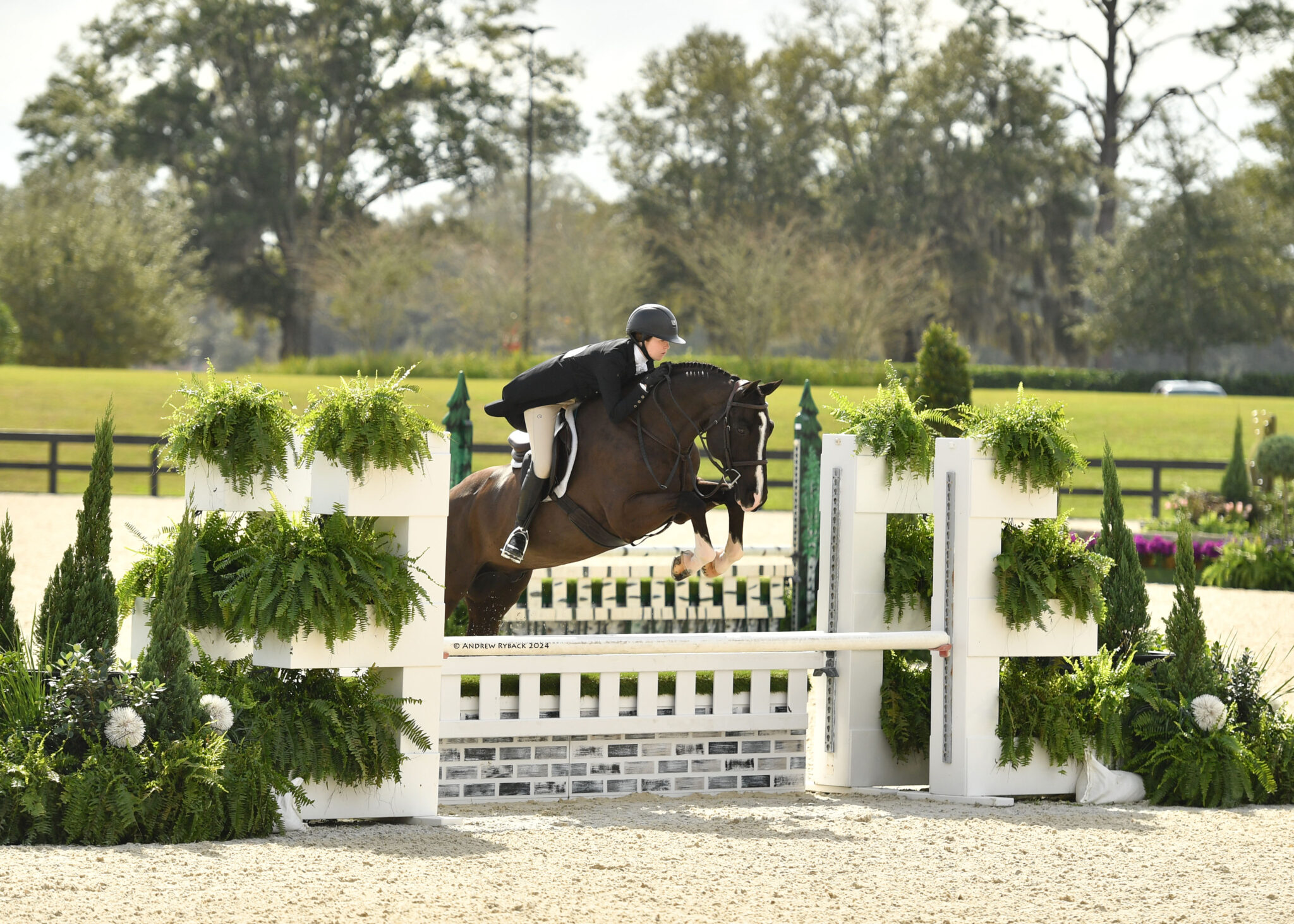 Update World Equestrian Center Ocala 2025 Winter Spectacular Show