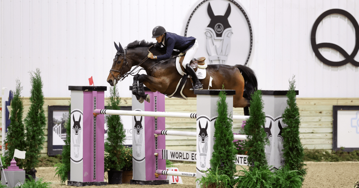 Francisco Goyoaga Mollet & The Diamant Rose Z Win the Final
