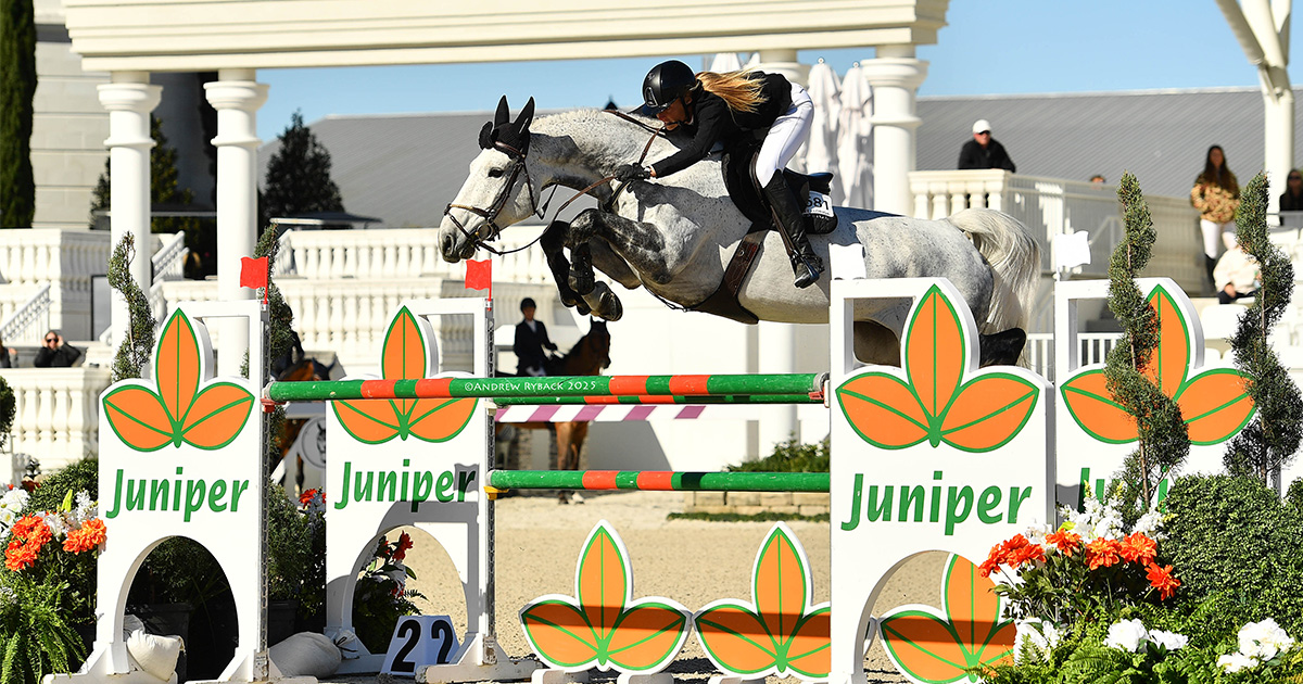 【SCENERITY】Berken Golden Jumper Kristen Vanderveen and Bull Run's Celestial Reach for the