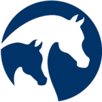 Medallion Horse Show