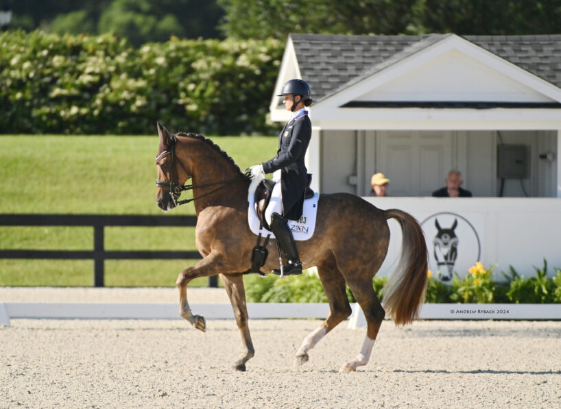 An exhibitor and horse competing in an outdoor dressage event.