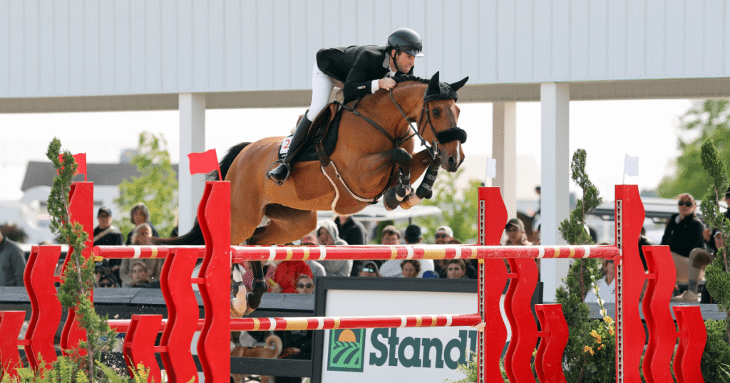 HIT WIN VICTORY II OF HORSE RACE